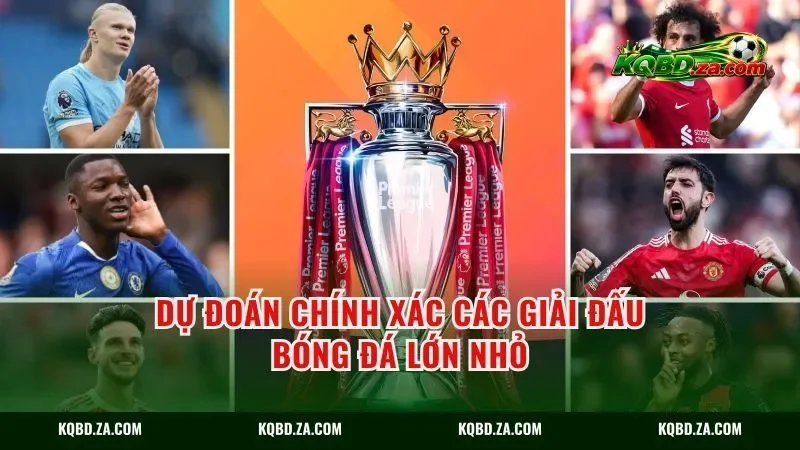 Dự đoán chính xác các giải đấu bóng đá lớn nhỏ