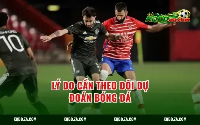 Lý do cần theo dõi dự đoán bóng đá