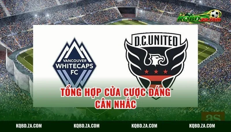 Tổng hợp cửa cược đáng cân nhắc