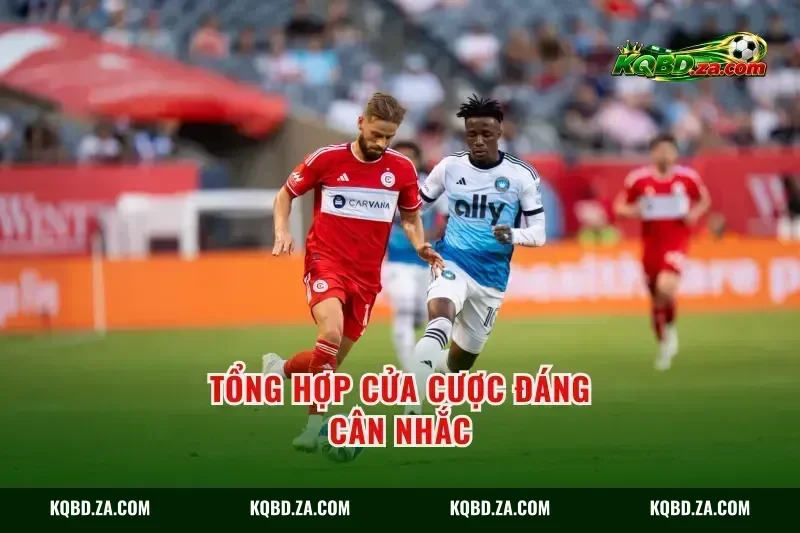 Tổng hợp cửa cược đáng cân nhắc