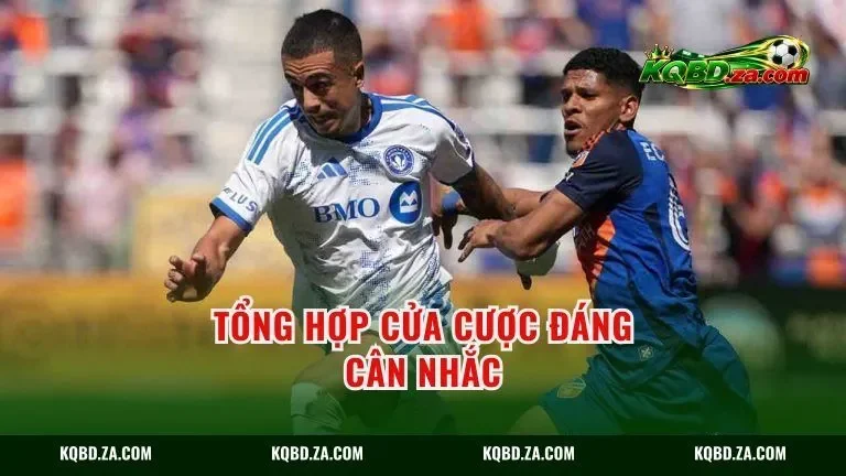 Tổng hợp cửa cược đáng cân nhắc